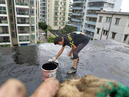 惠州市博罗外墙高空补漏 专业防水补漏工程公司的技术实践